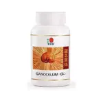 DXN GANOCELIUM (GL) 450MGX90-COMPLÉMENT ALIMENTAIRE GANODERMA LUCIDUM